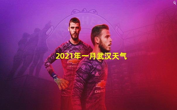 2021年一月武汉天气