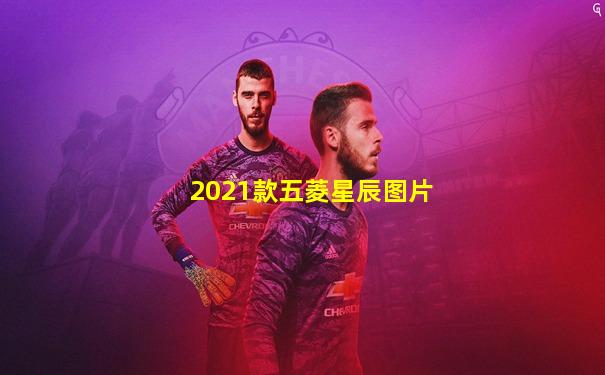 2021款五菱星辰图片