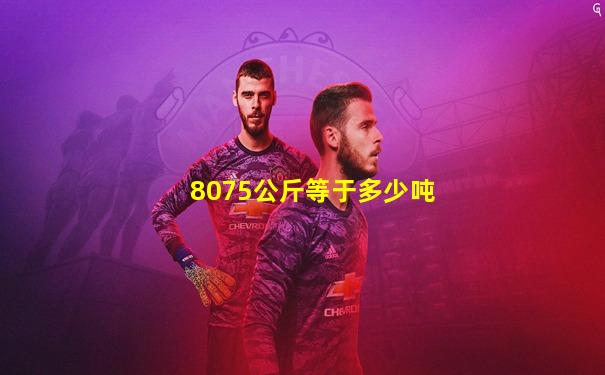 8075公斤等于多少吨