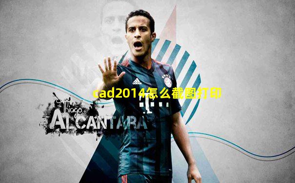 cad2014怎么截图打印
