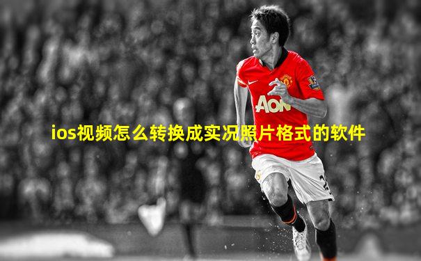 ios视频怎么转换成实况照片格式的软件