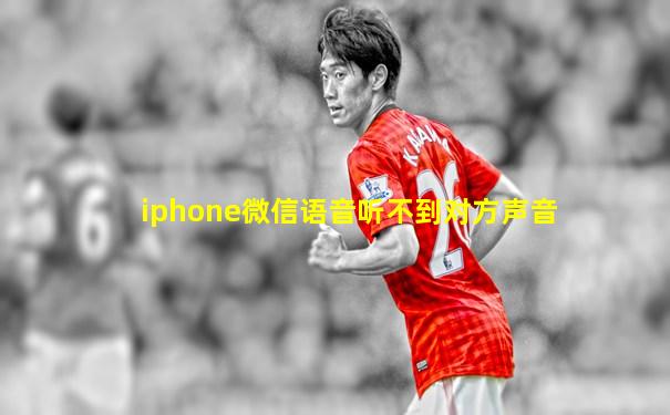 iphone微信语音听不到对方声音