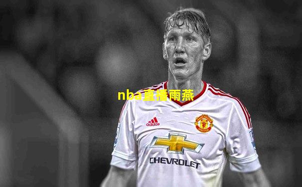 nba直播雨燕
