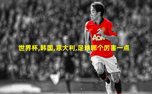 世界杯,韩国,意大利,足球哪个厉害一点