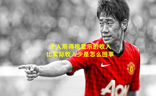 个人所得税显示的收入比实际收入少是怎么回事