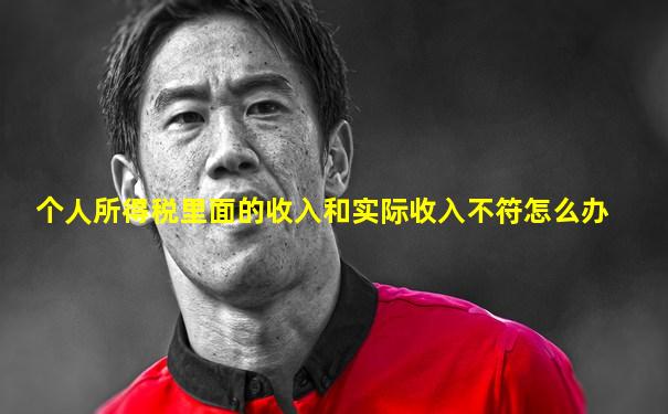 个人所得税里面的收入和实际收入不符怎么办