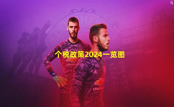 个税政策2024一览图