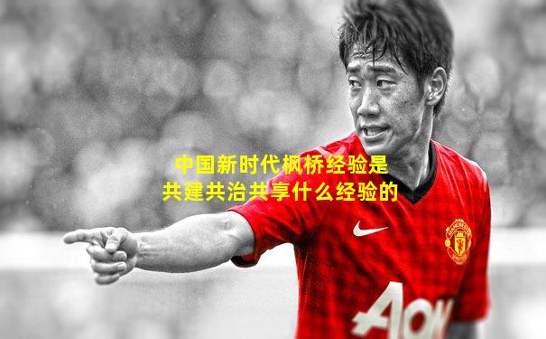 中国新时代枫桥经验是共建共治共享什么经验的