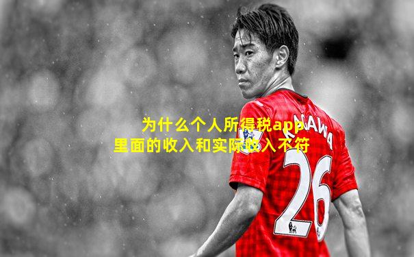 为什么个人所得税app里面的收入和实际收入不符