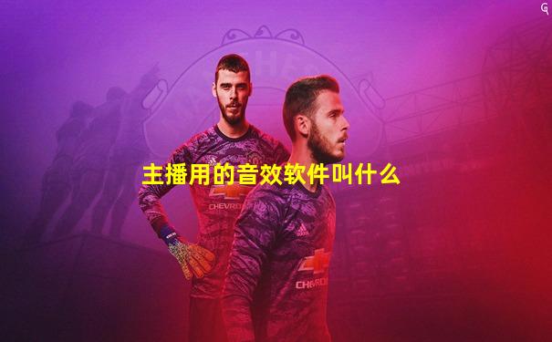 主播用的音效软件叫什么