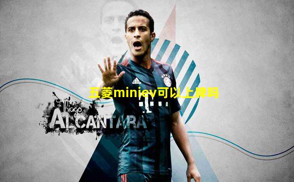 五菱miniev可以上牌吗