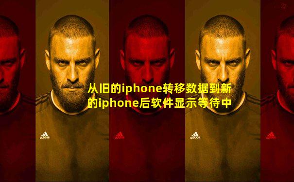 从旧的iphone转移数据到新的iphone后软件显示等待中