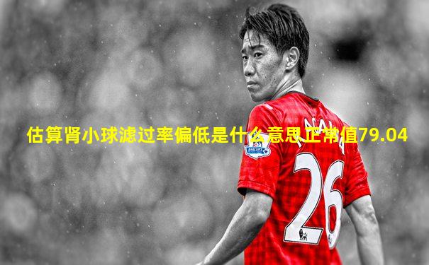 估算肾小球滤过率偏低是什么意思正常值79.04