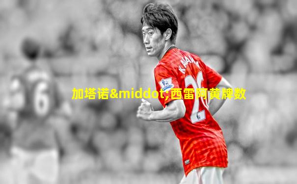 加塔诺·西雷阿黄牌数