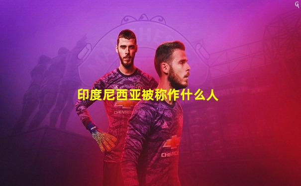 印度尼西亚被称作什么人