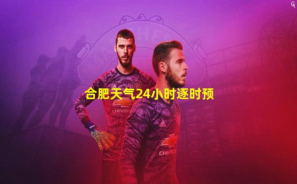 合肥天气24小时逐时预