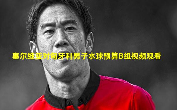 塞尔维亚对匈牙利男子水球预算B组视频观看