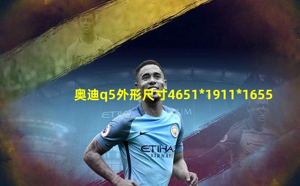 奥迪q5外形尺寸4651*1911*1655