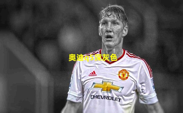 奥迪q5深灰色