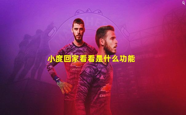 小度回家看看是什么功能
