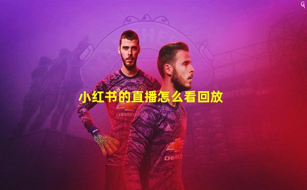 小红书的直播怎么看回放