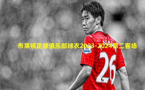 布莱顿足球俱乐部球衣2023-2024第二客场