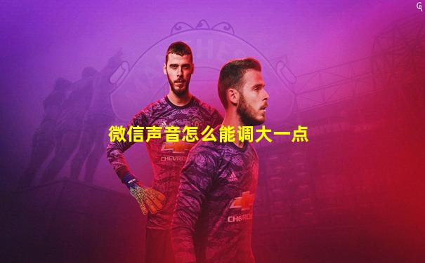 微信声音怎么能调大一点