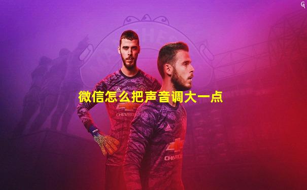 微信怎么把声音调大一点