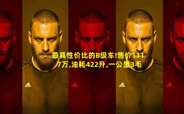 最具性价比的B级车!售价1117万,油耗422升,一公里3毛