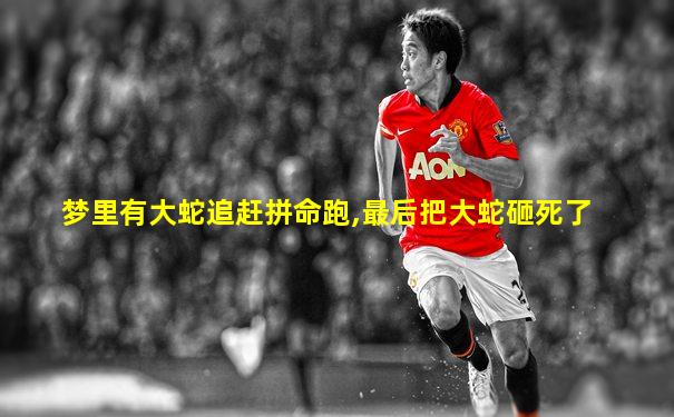 梦里有大蛇追赶拼命跑,最后把大蛇砸死了