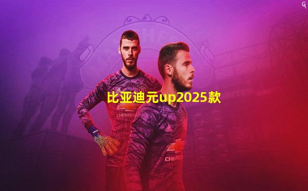 比亚迪元up2025款