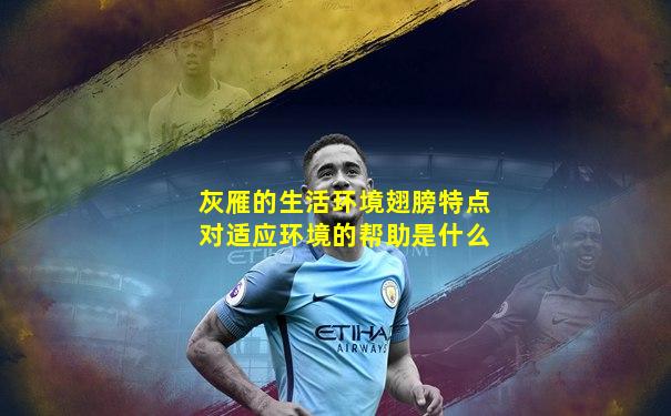 灰雁的生活环境翅膀特点对适应环境的帮助是什么