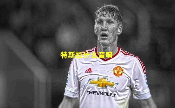 特斯拉什么音响