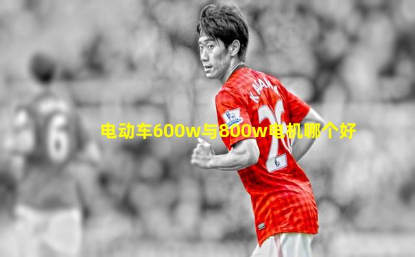 电动车600w与800w电机哪个好