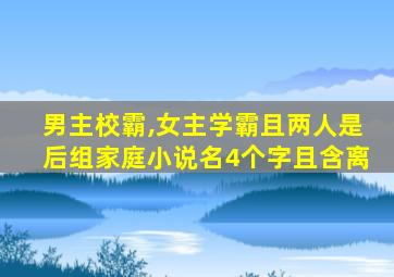 男主校霸,女主学霸且两人是后组家庭小说名4个字且含离