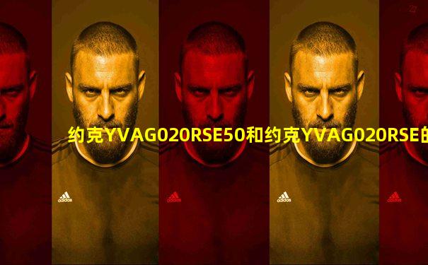 约克YVAG020RSE50和约克YVAG020RSE的区别