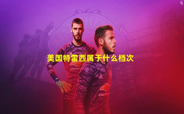 美国特雷西属于什么档次