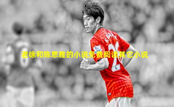 老徐和陈思雅的小说免费阅读其它小说