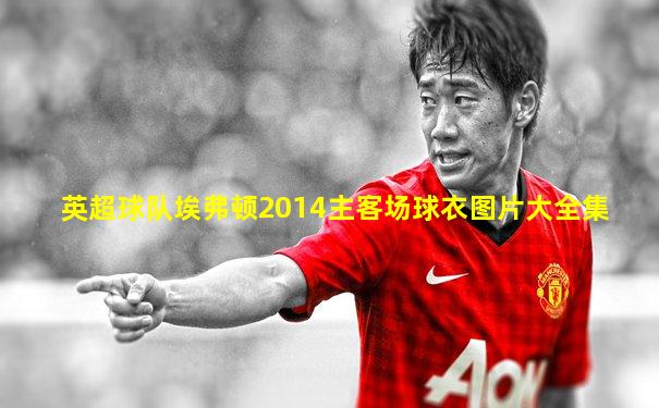英超球队埃弗顿2014主客场球衣图片大全集