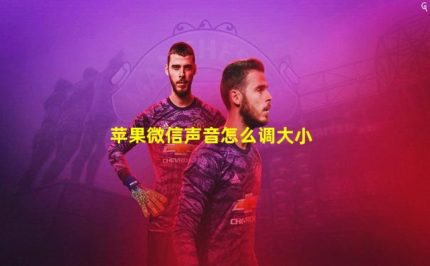 苹果微信声音怎么调大小
