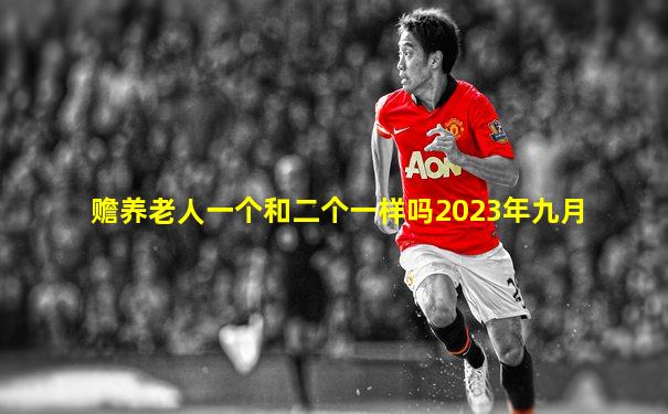 赡养老人一个和二个一样吗2023年九月