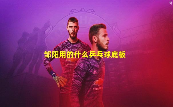 邹阳用的什么乒乓球底板